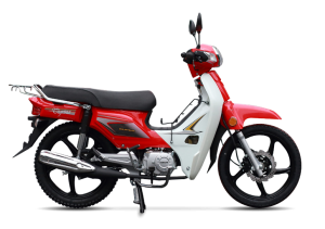 Kanuni-Motosiklet-TIGRINA-Yakit-Tüketimi-Teknik-Özellikleri-1