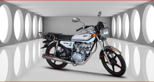 uba-Motosiklet-CG-100-KM-125-6-Yakit-Tüketimi-Teknik-Özellikleri-1