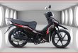 Kuba-Motosiklet-Ege-100-Yakit-Tüketimi-Teknik-Özellikleri-1