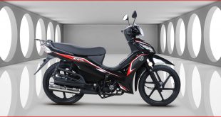 Kuba-Motosiklet-Ege-100-Yakit-Tüketimi-Teknik-Özellikleri-1