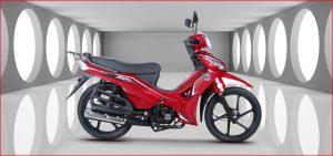 Kuba-Motosiklet-Ege-50-Yakit-Tüketimi-Teknik-Özellikleri-1