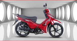 Kuba-Motosiklet-Ege-50-Yakit-Tüketimi-Teknik-Özellikleri-1