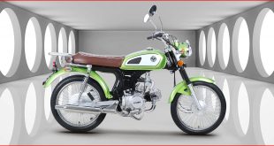 Kuba-Motosiklet-RX9-Yakit-Tüketimi-Teknik-Özellikleri-2