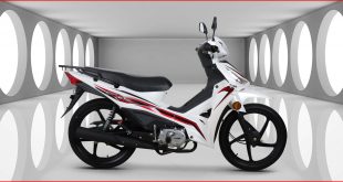 Kuba-Motosiklet-Reiz-50-Yakit-Tüketimi-Teknik-Özellikleri-1