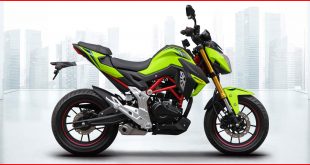 RKS-Motosiklet-RN-180-Yakıt-Tüketimi-ve-Teknik-Özellikleri