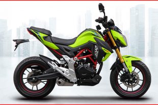 RKS-Motosiklet-RN-180-Yakıt-Tüketimi-ve-Teknik-Özellikleri