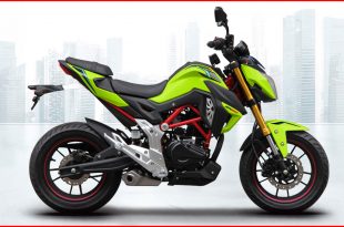 RKS-Motosiklet-RN-180-Yakıt-Tüketimi-ve-Teknik-Özellikleri