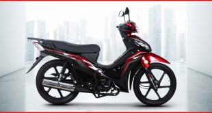 RKS-Motosiklet-Rodos-100-Yakıt-Tüketimi-ve-Teknik-Özellikleri