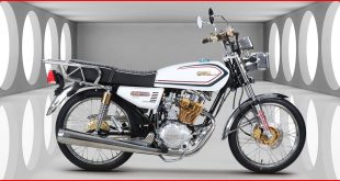 Çita-125R-Max-Gold-Yakıt-Tüketimi-ve-Teknik-Özellikleri